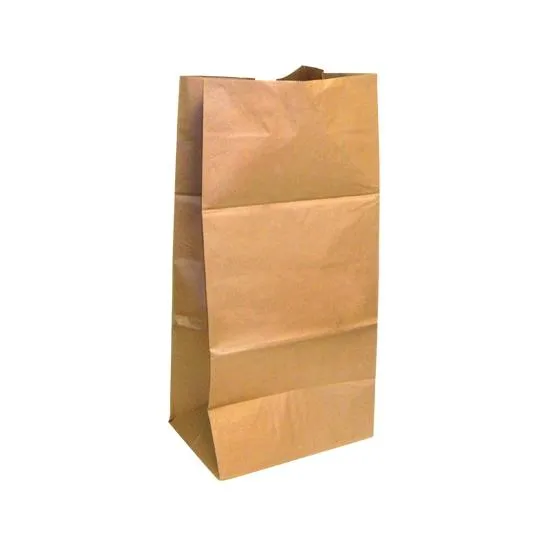 10 Pack, 30 Gallon Biodegradable Paper Lawn and Leaf Bag