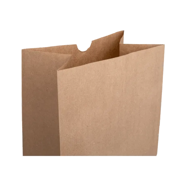 [500 ct] 20 lb Paper Bag, Kraft