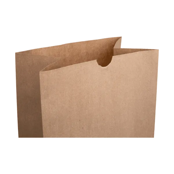 [500 ct] 20 lb Paper Bag, Kraft