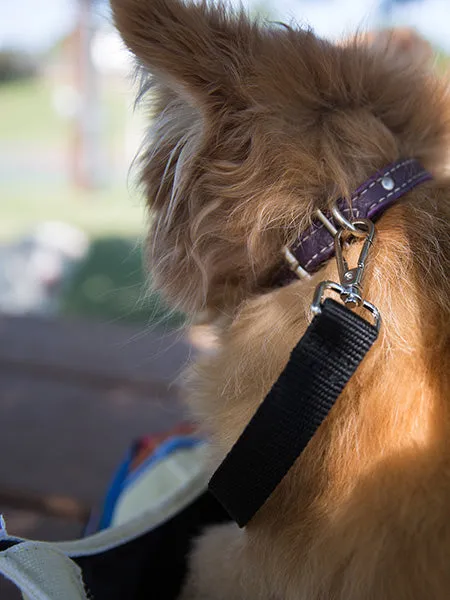 Canvas Pet Carrying Tote Bag