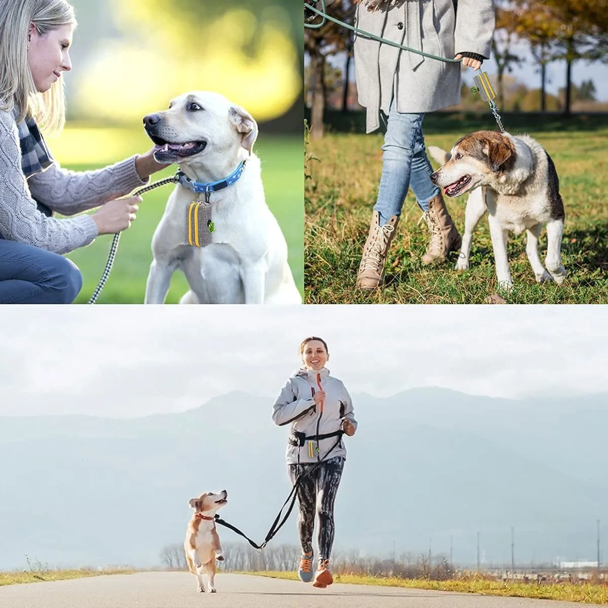 Dog Poop Bag Holder Leash Attachment